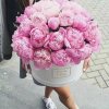 如果有如果的头像