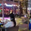 玉贝儿的头像