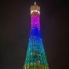 聚散随缘的头像