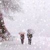 漂雪的头像