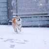 Relar的头像