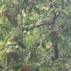 夏天热的头像