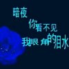 风雨人生路的头像