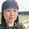 蓝梦的头像