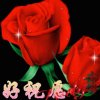 梦醒瞬间的头像
