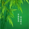 琴音的头像