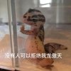 あ的头像