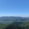 Tibet的头像
