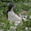 寒冰的头像