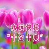樱花的头像