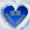 心弦的头像