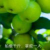 平凡人的头像