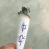 快乐人生的头像