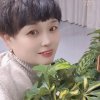 温瞳的头像