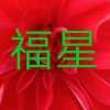 福星的头像