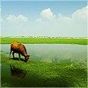 音乐吧十五号的头像