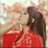 宁静〖暂退〗的头像
