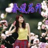春花秋月的头像