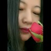 峭壁幽兰的头像