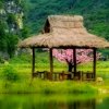 雨过天晴的头像