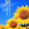 心的头像