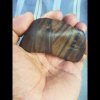 青瓷的头像