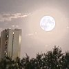 心听的头像