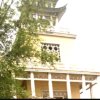 阳光大道的头像