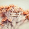 LZH的头像