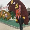 赵伟军的头像