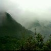 青山的头像