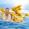 金色飞龙的头像