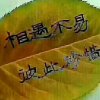 愿得一人心的头像