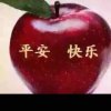 苹果的头像