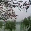 蓝天的头像