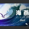 海燕的头像