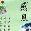 至我们呼啸而过的青春的头像