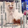 习晓忺的头像
