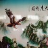 自由飞翔的头像