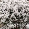 风的头像