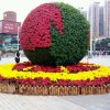 芭妣的头像