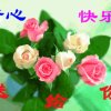 平平安安的头像