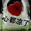 @温柔的背叛@的头像
