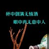 过客（淡出K歌）的头像