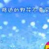 逆风下的飞翔的头像