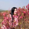 往事随风的头像