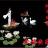 杨哥(来访必回，谢谢)的头像