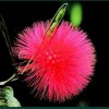 花花世界的头像