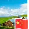 呼.♪宁静快乐的头像