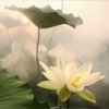 南宫凝琦的头像